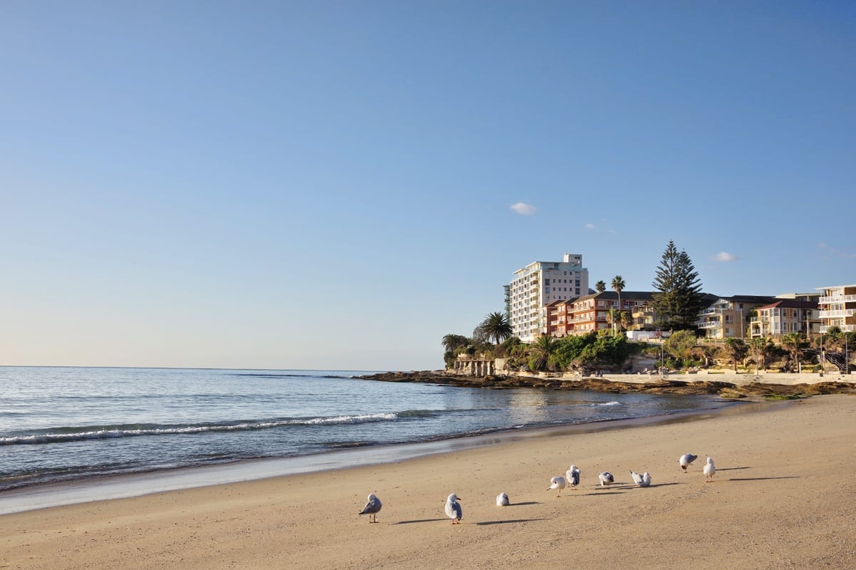 south-cronulla-seagulls